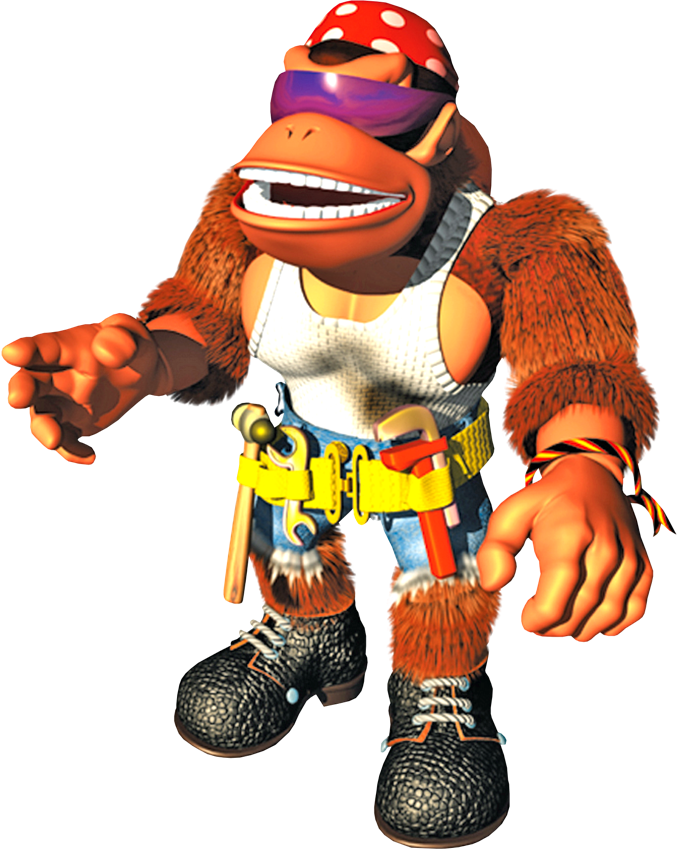 Funky_Artwork_-_Donkey_Kong_Country_3.png