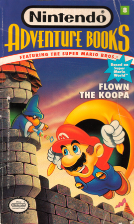 Cover Art of Flown the Koopa.