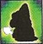 Me on the wiki: a Dark Magikoopa with a white wand