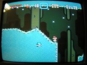 Shell Glitch.