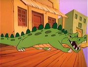 A Crocodile.