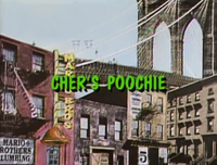 TSMBSS Cher's Poochie title card.png